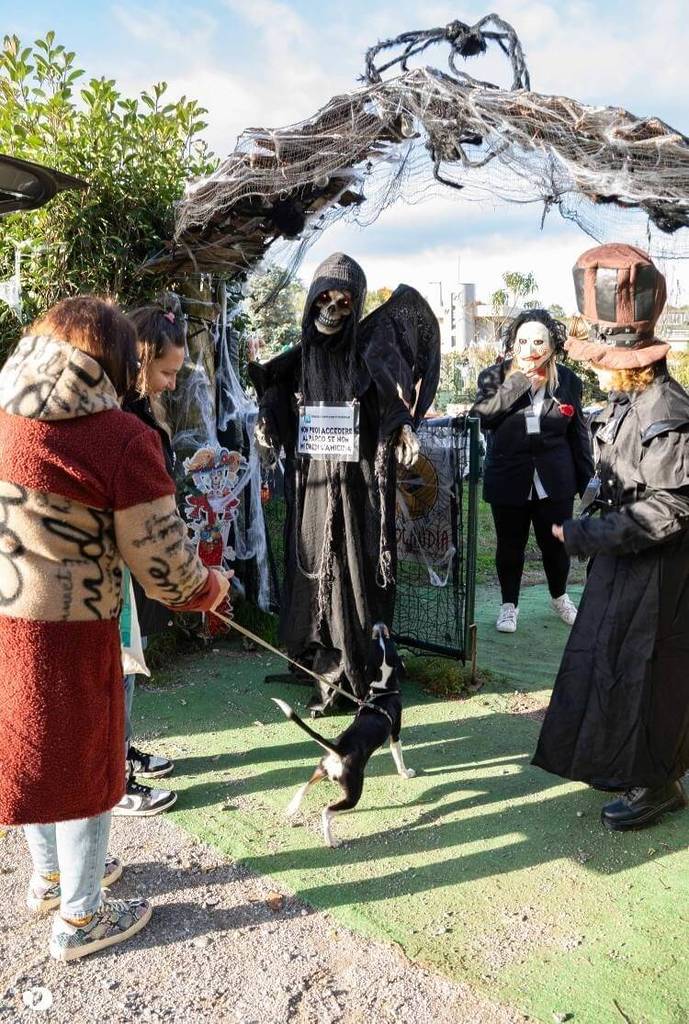 Evento Halloween per cani