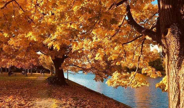 Zucca, porcini e un piccolo borgo da scoprire: la gita dolce di questo weekend a mezz’ora da Milano