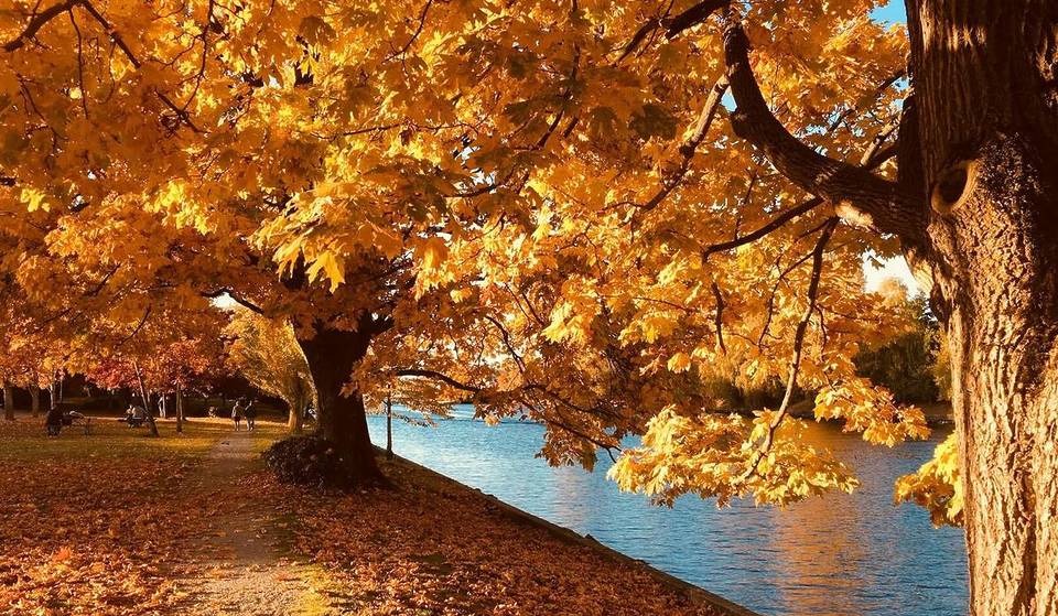 Calabaza, setas porcini y un pueblecito por descubrir: la dulce excursión de este fin de semana a media hora de Milán