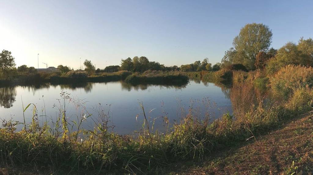 Visita sul fiume Olona