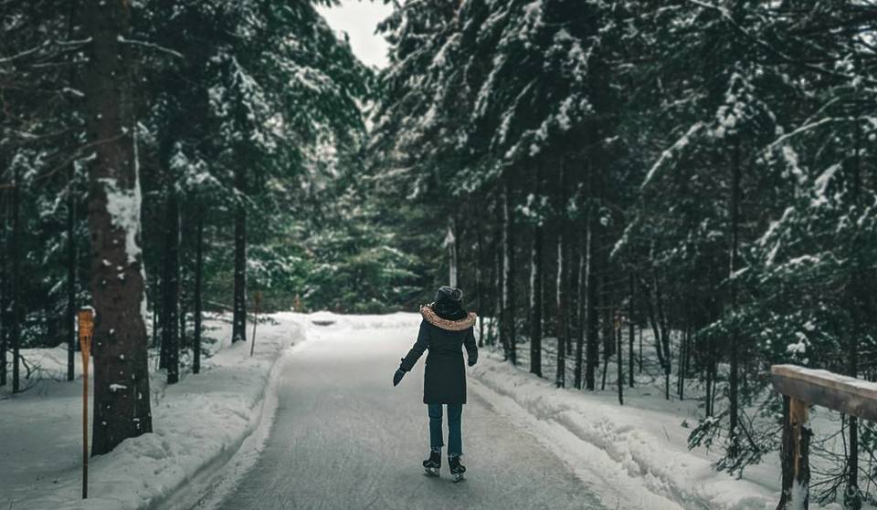 A circa 3 ore da Milano si trova una spettacolare pista di pattinaggio naturale nel bosco: un sentiero di ghiaccio lungo 3 km che attraversa la foresta innevata