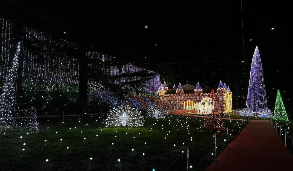 Non crederai a come questo piccolo paese a un’ora da Milano si accende di magia a Natale: oltre un milione di luci rivestono vie, strade e case