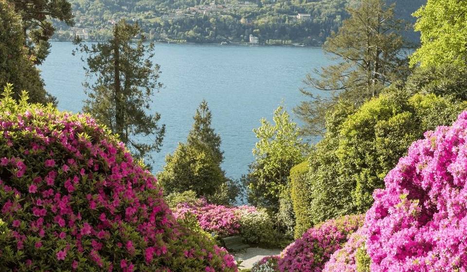 Just an hour from Milan, the most anticipated garden of the year reopens: a 7-hectare paradise of blooming camellias and lake views
