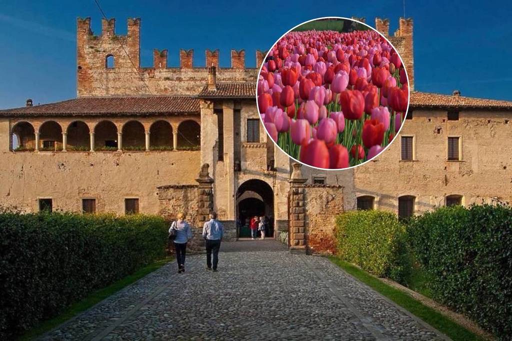 Svegliarsi tra 200.000 tulipani in un borgo del 1400: a meno di un’ora da Milano esiste un rifugio magico dove il tempo si è fermato