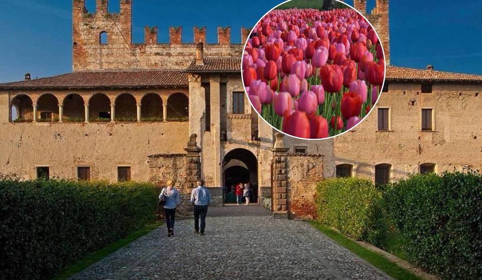 Svegliarsi tra 200.000 tulipani in un borgo del 1400: a meno di un’ora da Milano esiste un rifugio magico dove il tempo si è fermato