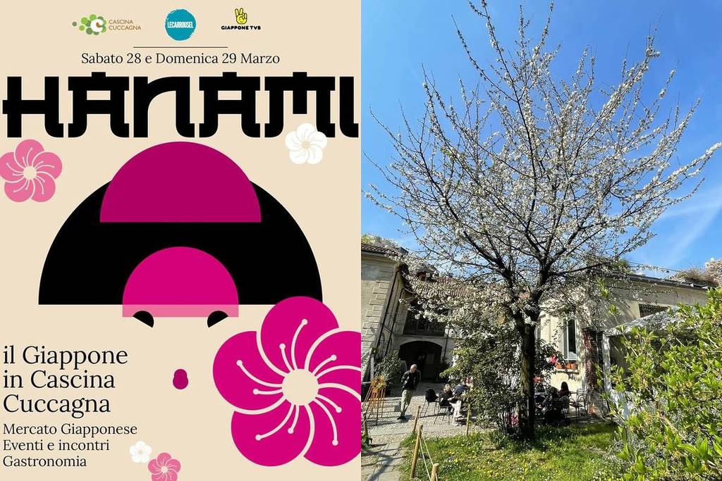 Hanami è il festival gratuito a Cascina Cuccagna che celebra la fioritura dei ciliegi