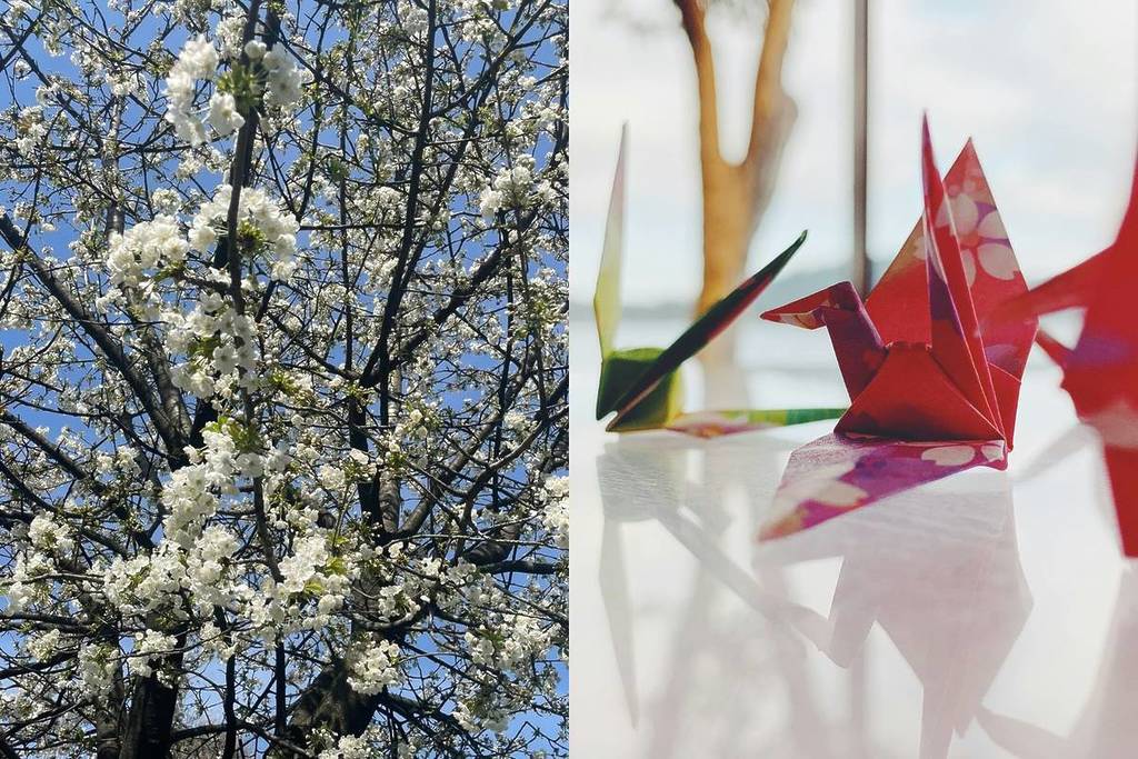 Origami e alberi di ciliegio nel festival Hanami a Cascina Cuccagna