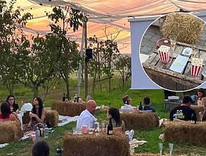 Eine Stunde von Mailand entfernt gibt es ein Kino im Obstgarten, wo du für 30 € im Gras liegend Filme anschauen kannst