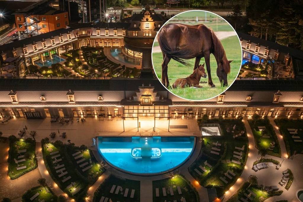 Photo collage, with the Terme de Montel in the background; in the circle, two horses, one of which is a foal
