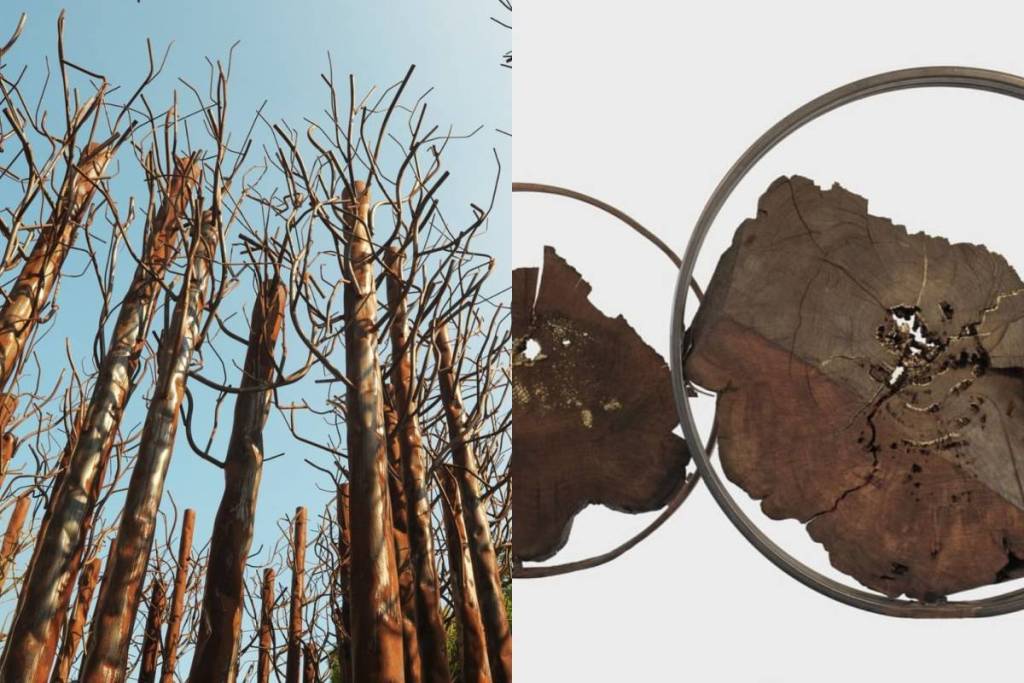 The Courtyard of Honor at Palazzo Reale hosts “Materie viventi,” the exhibition by Maria Cristina Carlini that brings a powerful reflection on the relationship between humans, nature, and matter to the heart of the city