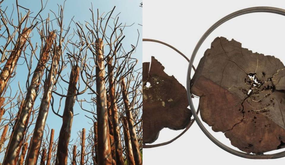 «Espero que la gente sienta emociones»: en el Palazzo Reale, la exposición inmersiva y gratuita con materiales reciclados de la escultora milanesa Maria Cristina Carlini