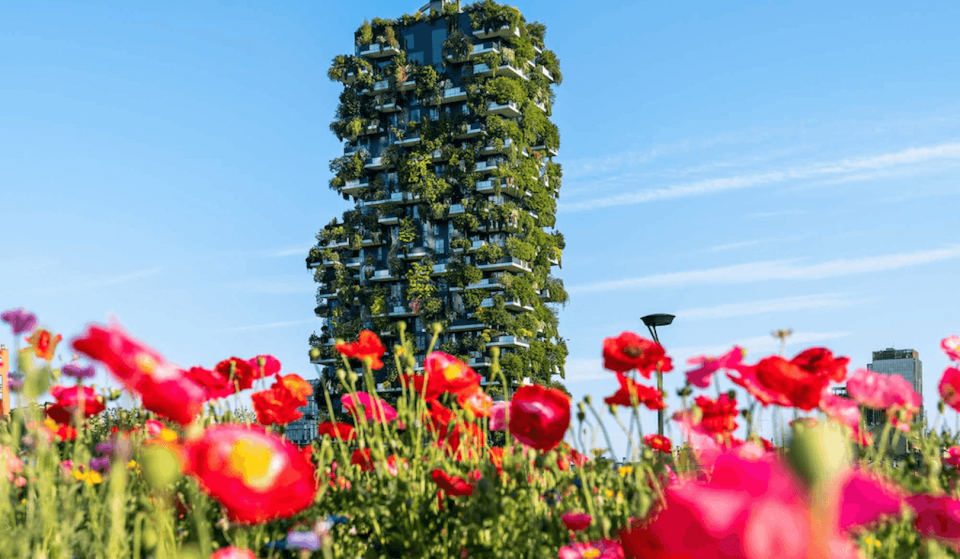 En 2014, Milán inauguró dos torres residenciales plantando 800 árboles y 15 000 plantas; hoy en día, el Bosque Vertical absorbe unas 30 toneladas de CO₂ al año, actuando como un ecosistema urbano