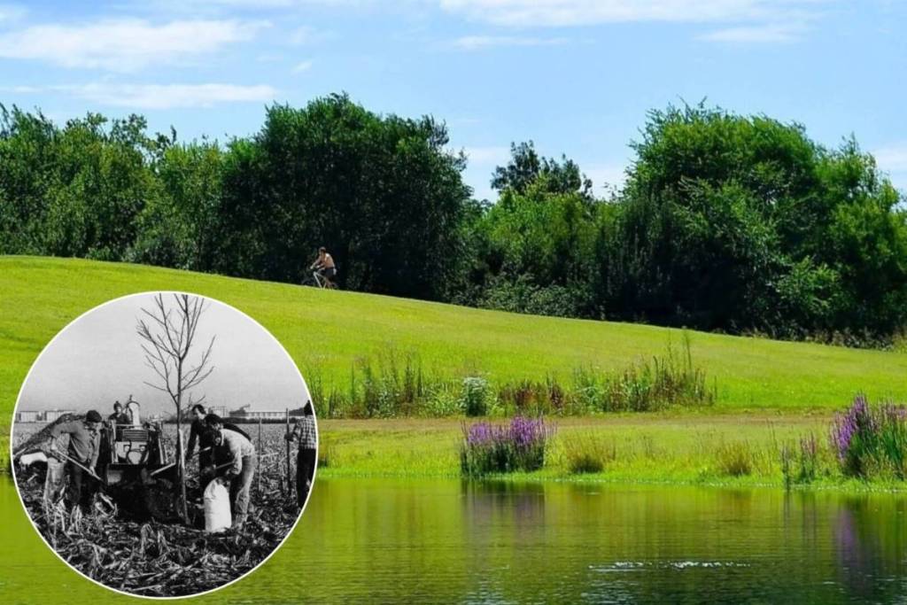 Transformation du Parco Nord de Milan avec un paysage verdoyant et un petit lac, ainsi qu’un insert d’époque en noir et blanc montrant la plantation des premiers arbres.