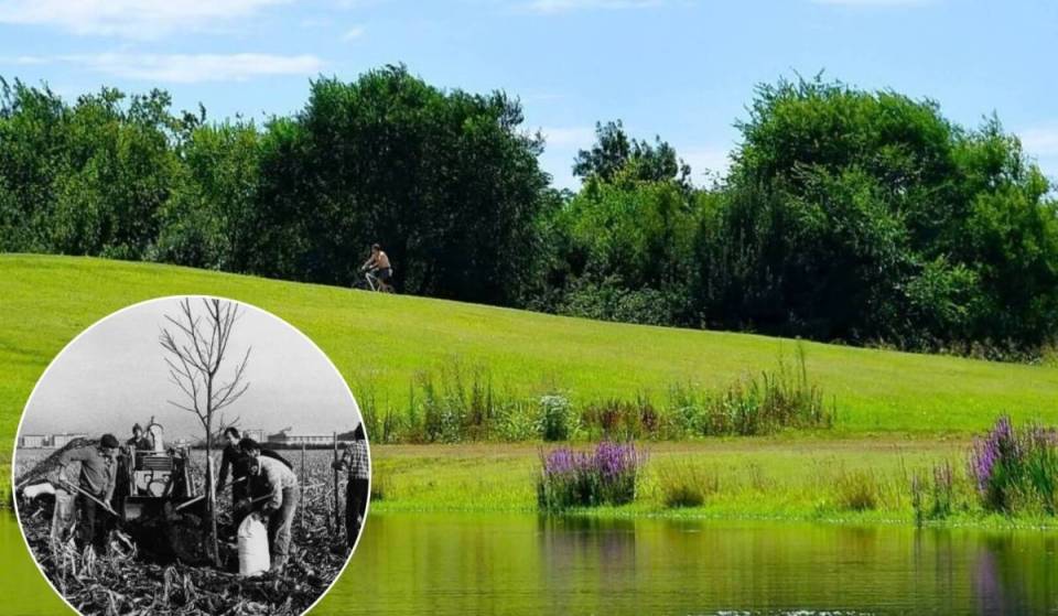 Since 1983, Milan has reclaimed 632 hectares of industrial and degraded outskirts; today, that land is home to the 300,000 trees of Parco Nord, a refuge for flora and fauna