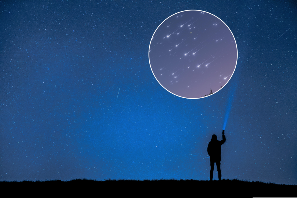 stelle cadenti