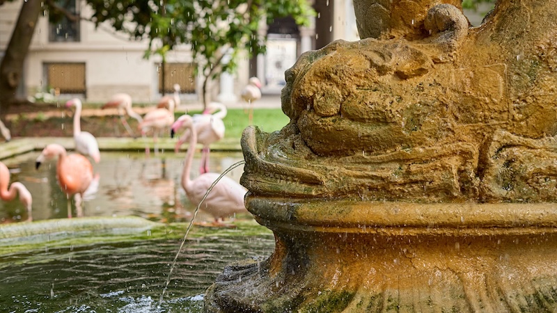Detail of the sculptural fountain with a water jet and pink flamingos in the background in the garden of Villa Invernizzi in Milan.