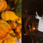 Eventi di Halloween a Milano: le alternative in video