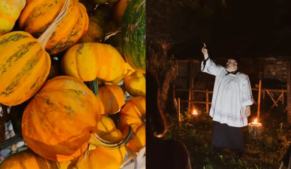 Eventi di Halloween a Milano: le alternative in video