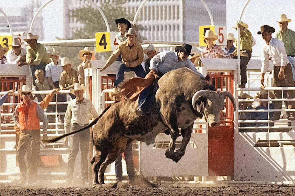 Grand Bull Rider Fest