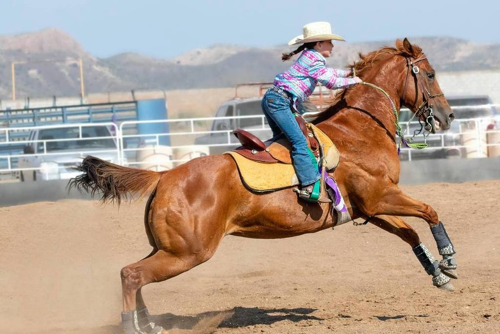 Ahuester Country Fest