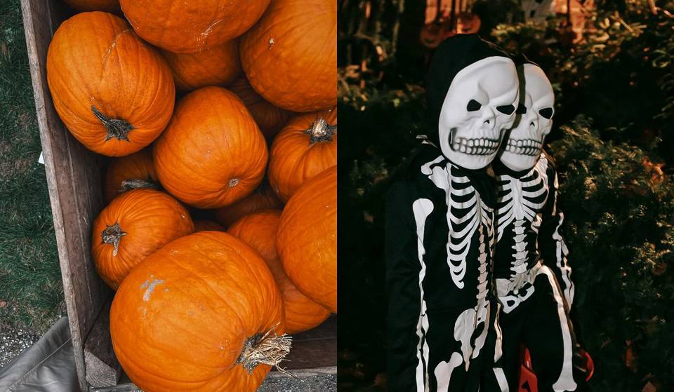 ¡Llegó el Halloween a Monterrey! Estos son los mejores planes para celebrar la época tenebrosa del año en la ciudad