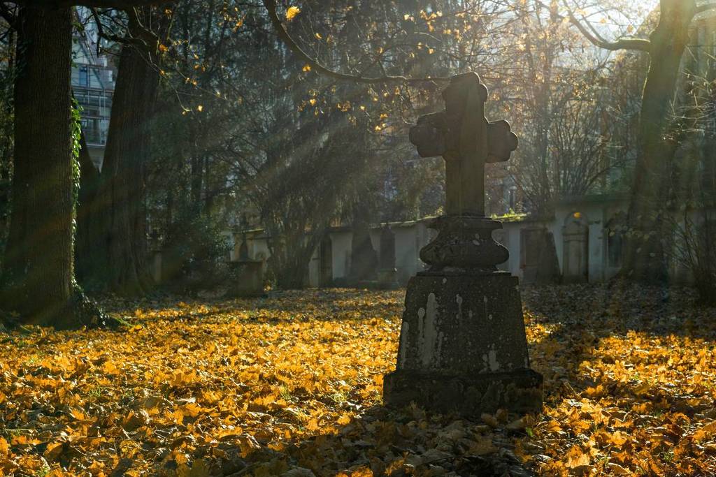 Día de Muertos Monterrey