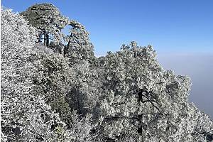 Nieve en Nuevo León: 4 lugares donde podrías ver paisaje nevado