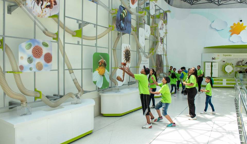 ¡Te decimos cómo sacarle el mejor provecho a tu visita al mejor museo interactivo: Papalote Museo del Niño!