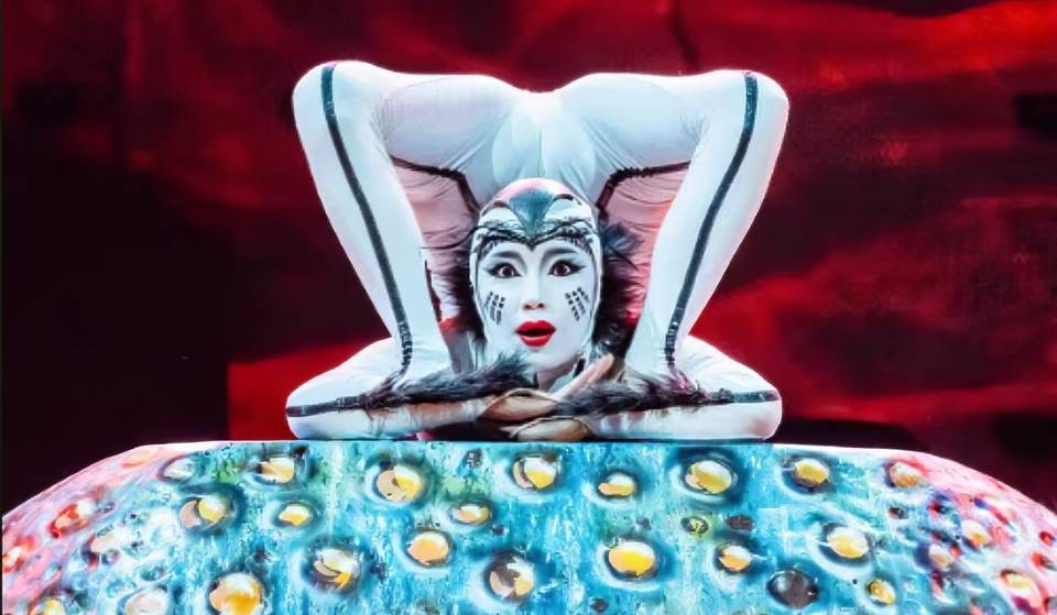 ‘Ovo’, el espectáculo visualmente más impresionante de Cirque du Soleil, llega a Monterrey en octubre