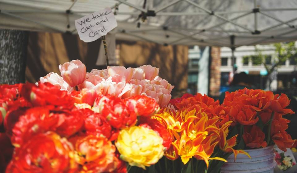 San Pedro Flower Fair 2025: workshops, music and free admission at Plaza Juárez