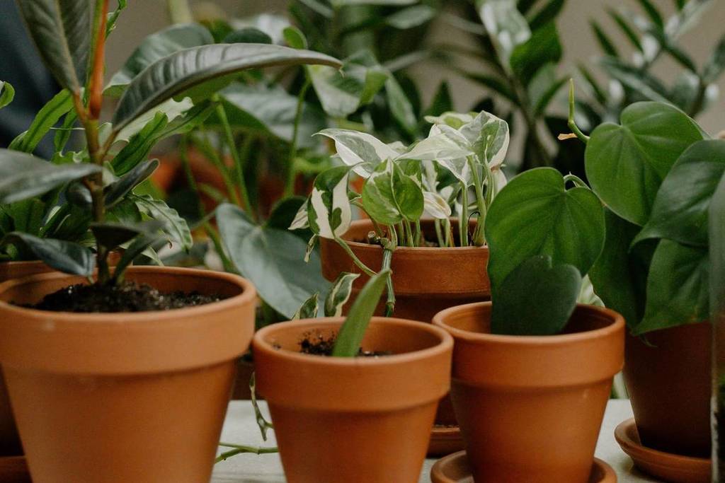 Qué hacer fin de semana Monterrey