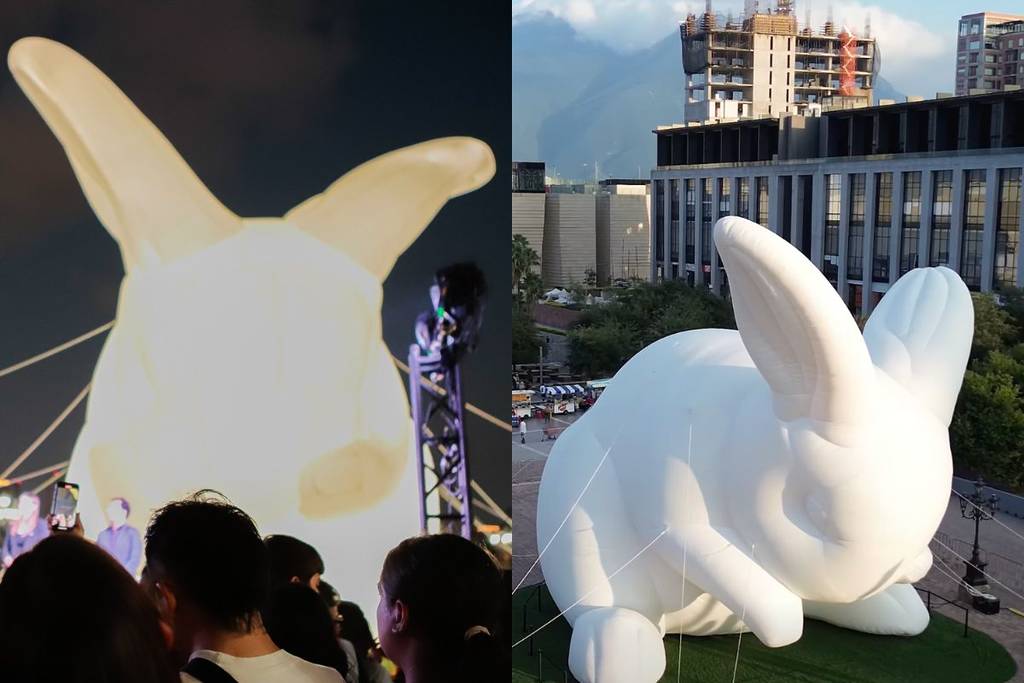 Intrude XXL conejo Monterrey