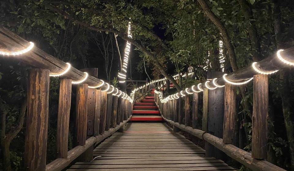 Chipinque’s illuminated bridge arrives with thousands of lights to ignite your Christmas spirit.