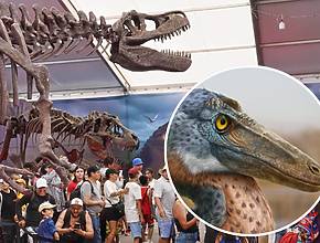 Por menos de $300 pesos puedes ver al nuevo dinosaurio mexicano muy cerca de Monterrey