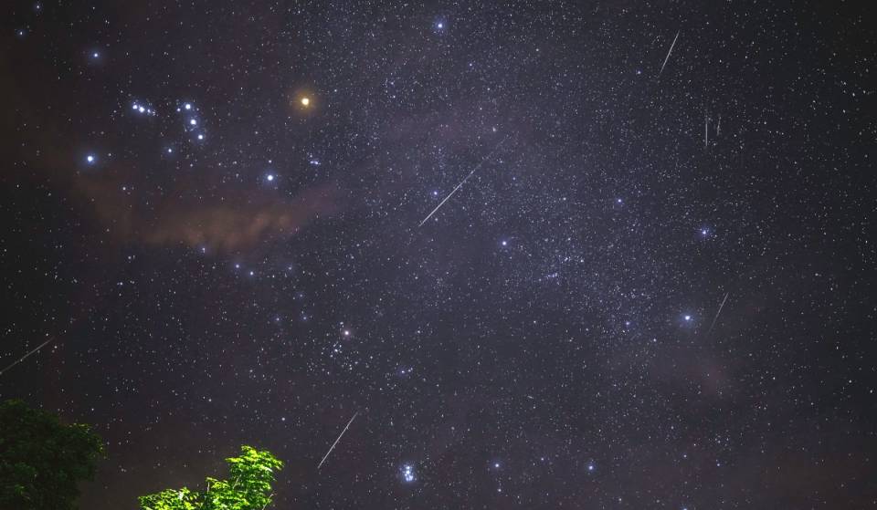 A meteor shower in Monterrey! Head to the Astronomy Camp at La Estanzuela