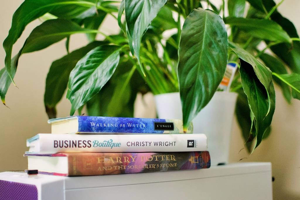 Exchange of books, plants, and household items