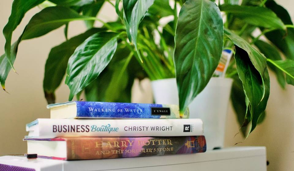 Libros y plantas gratis: El evento de intercambio donde no necesitas dar nada para recibir
