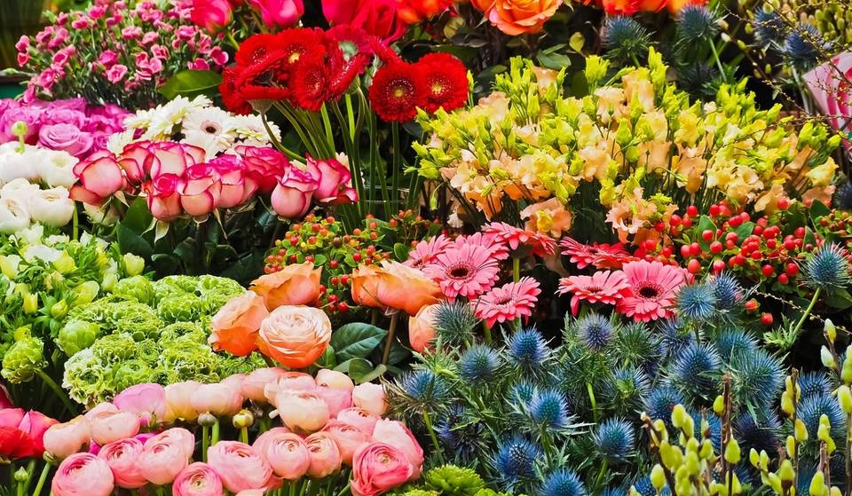 El spot de San Pedro que se llenará de miles de flores: fechas y actividades gratis en Plaza Juárez