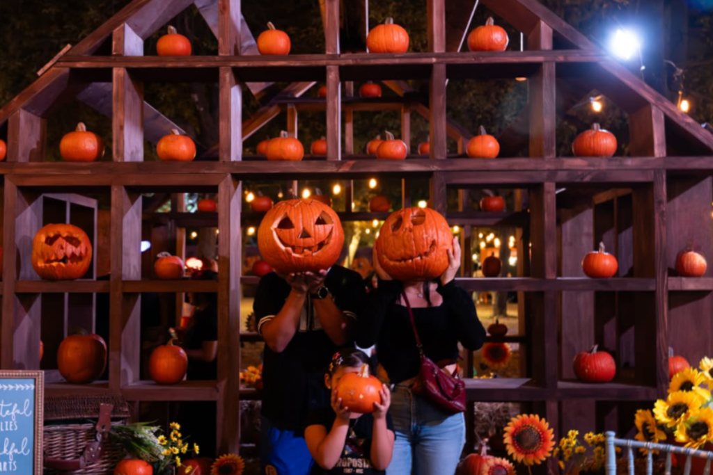 What to Do the Weekend of October 16–18