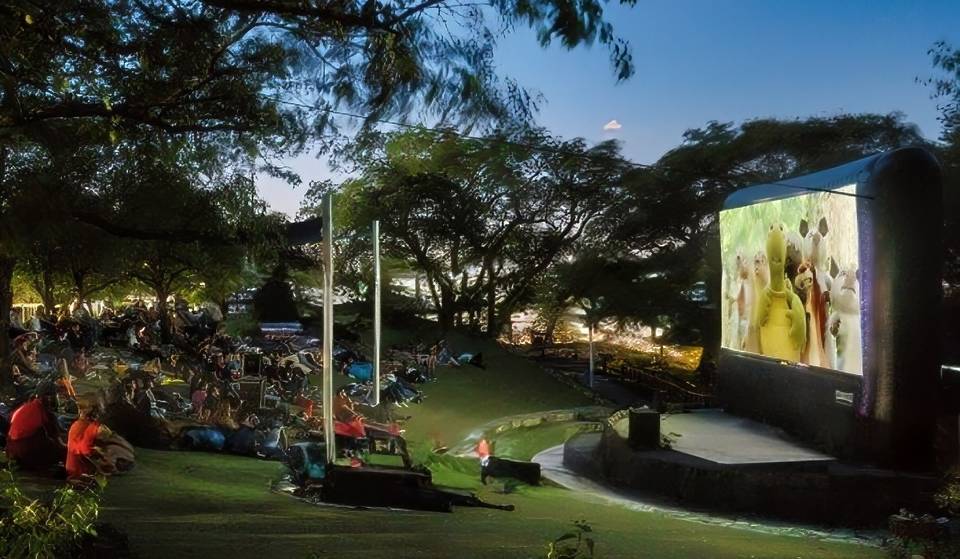 A Movie Night in the Mountains: Cine en el Bosque in Chipinque for Children’s Day