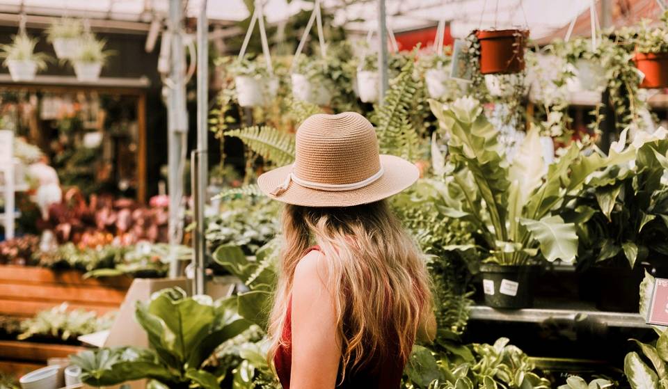 Plant Expo in Monterrey: succulents, cacti, and more at Metapatio