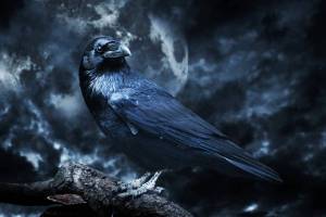 The Versalles Theater premieres a new cocktail and literature experience in Monterrey: it’s based on Edgar Allan Poe