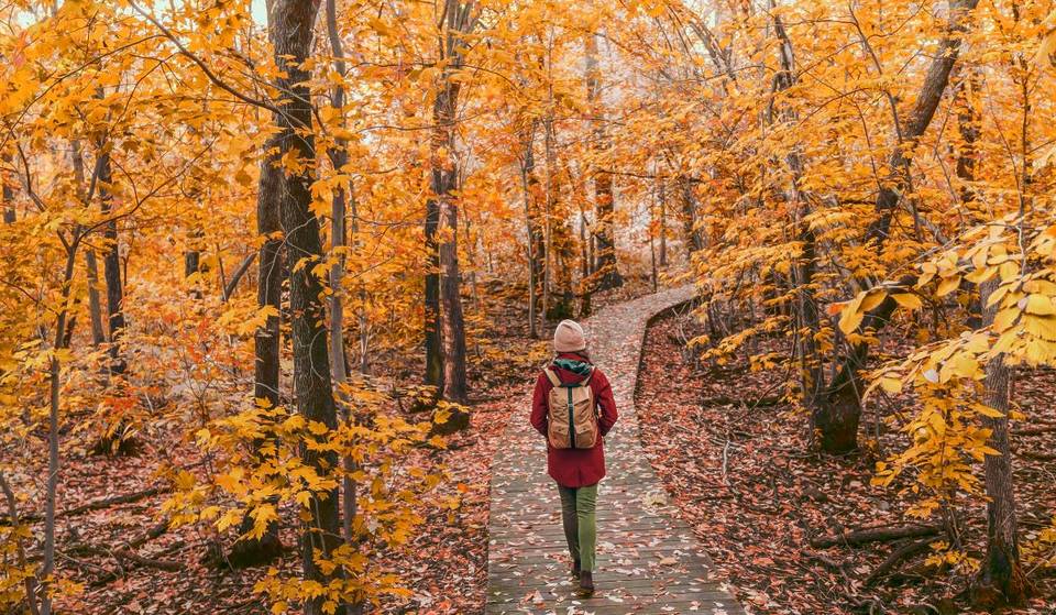 Just like in a Tim Burton movie – 8 hikes in the colorful leaves of Quebec autumn