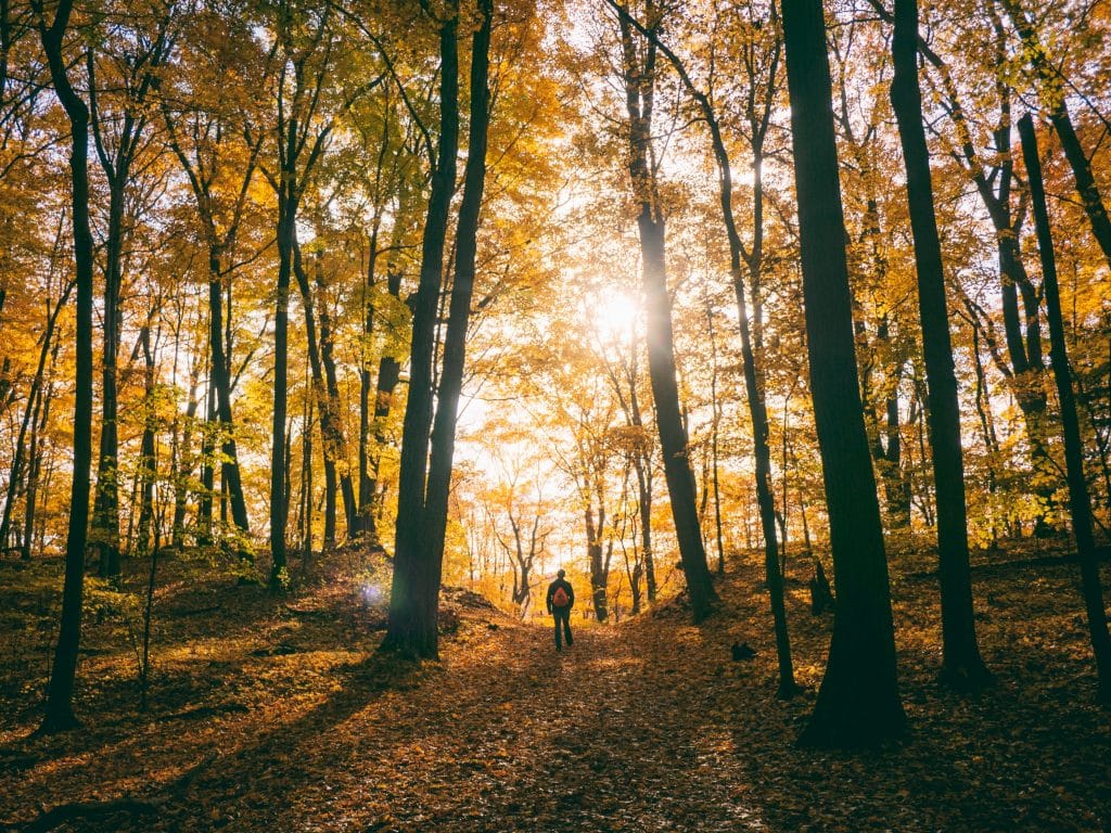 5 randonnées à faire absolument cet automne au Québec