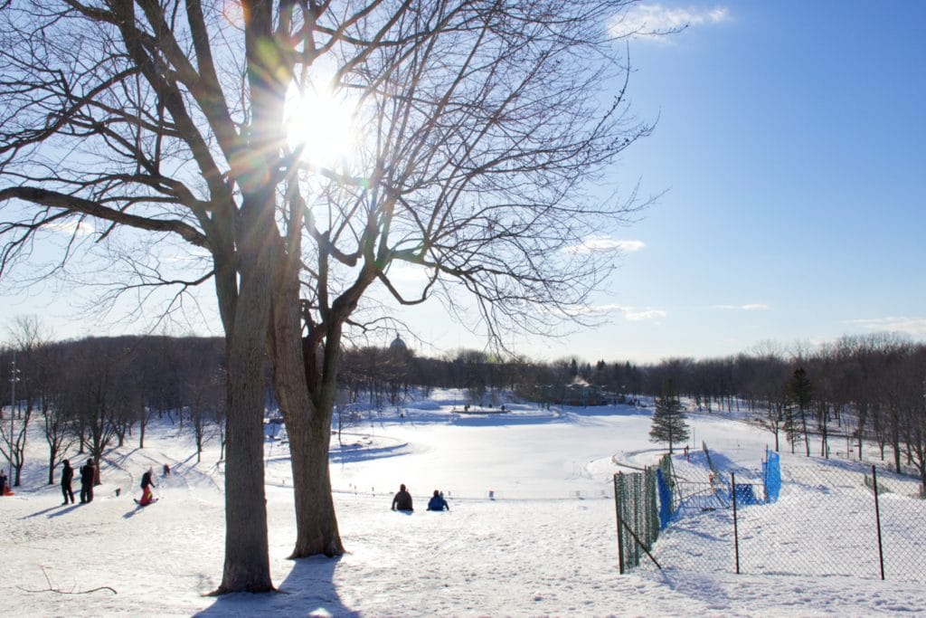 Quoi faire à Montréal en janvier 2022