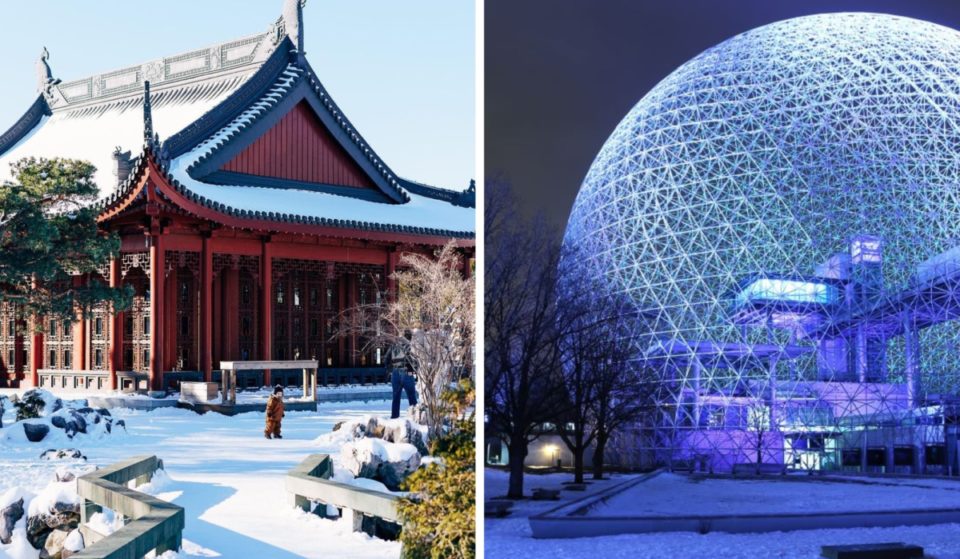 L&rsquo;entrée au Jardin botanique et autres sera GRATUITE pendant un week-end en décembre