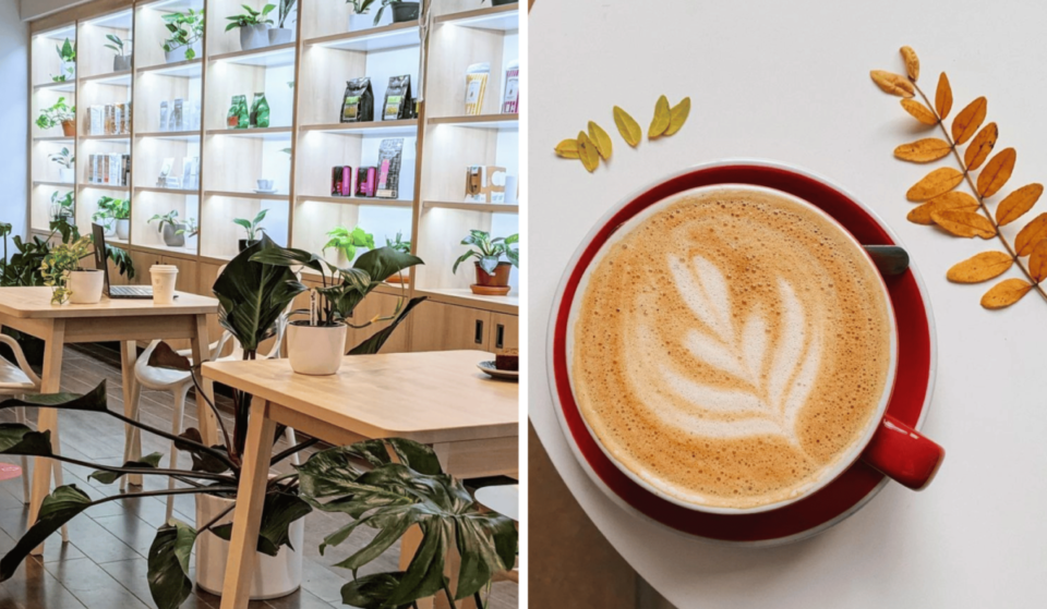 Ramassez un latte gratuit au centre-ville ce vendredi seulement !