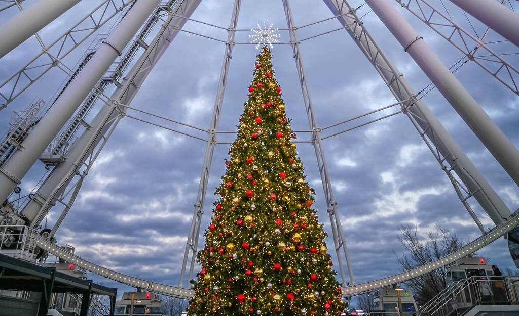 Les 10 plus beaux sapins de Montréal pendant le Temps des Fêtes
