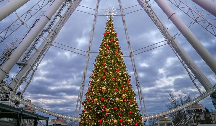Les 10 plus beaux sapins de Montréal pendant le Temps des Fêtes