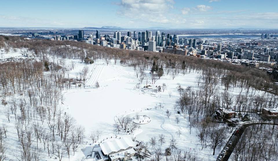 Nos patinoires préférées à Montréal